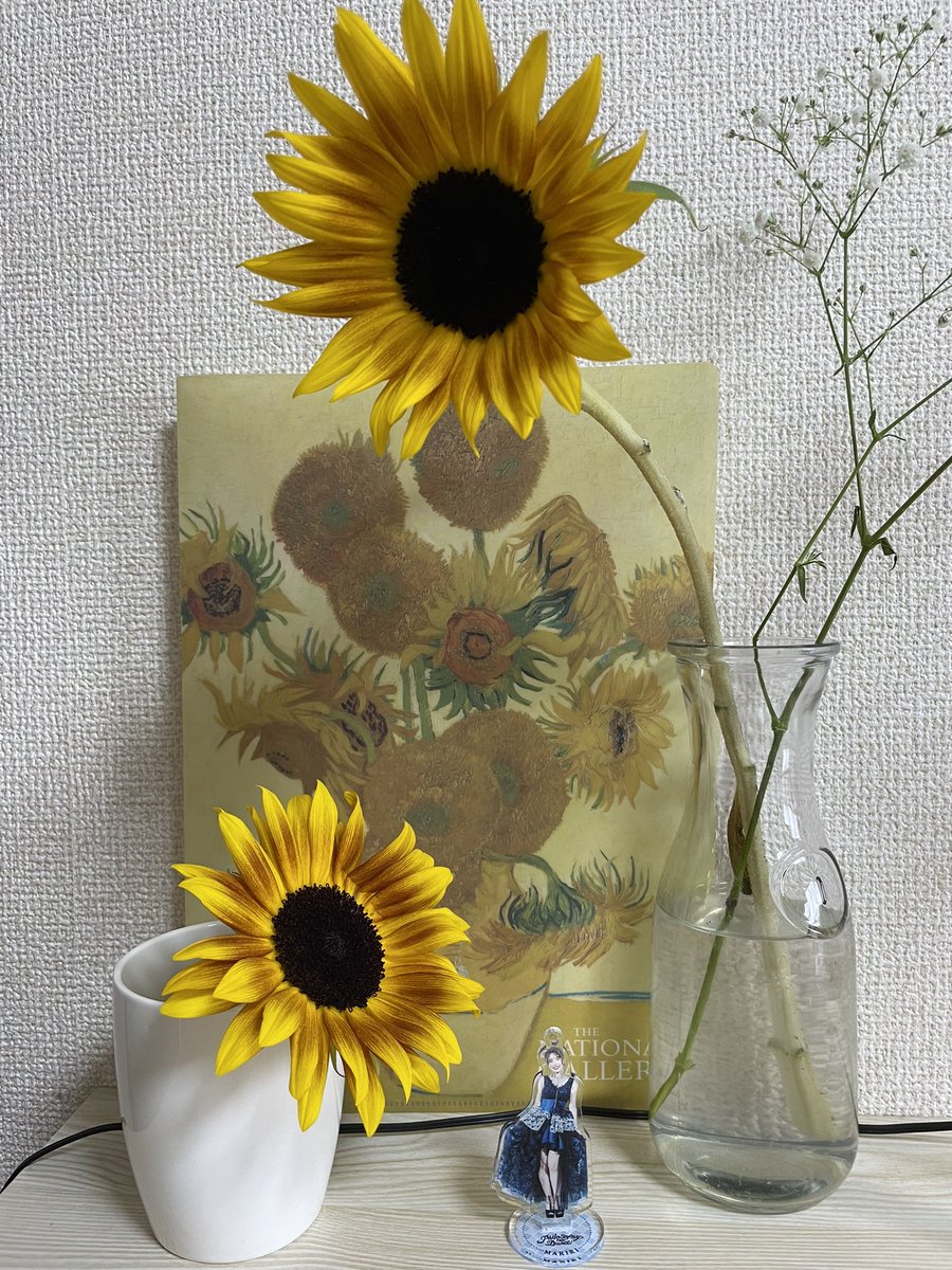 フラ フラダンス 最新情報まとめ みんなの評価 レビューが見れる ナウティスモーション 3ページ目