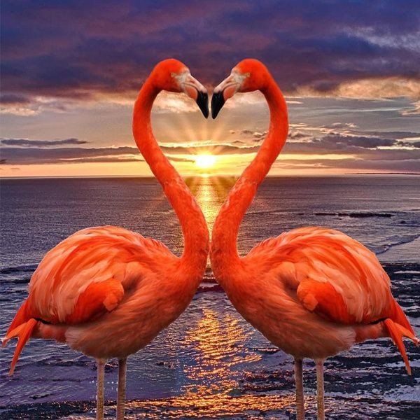 Good morning, happy thursday to all, enjoy a wonderful day ☕💐💚🤗