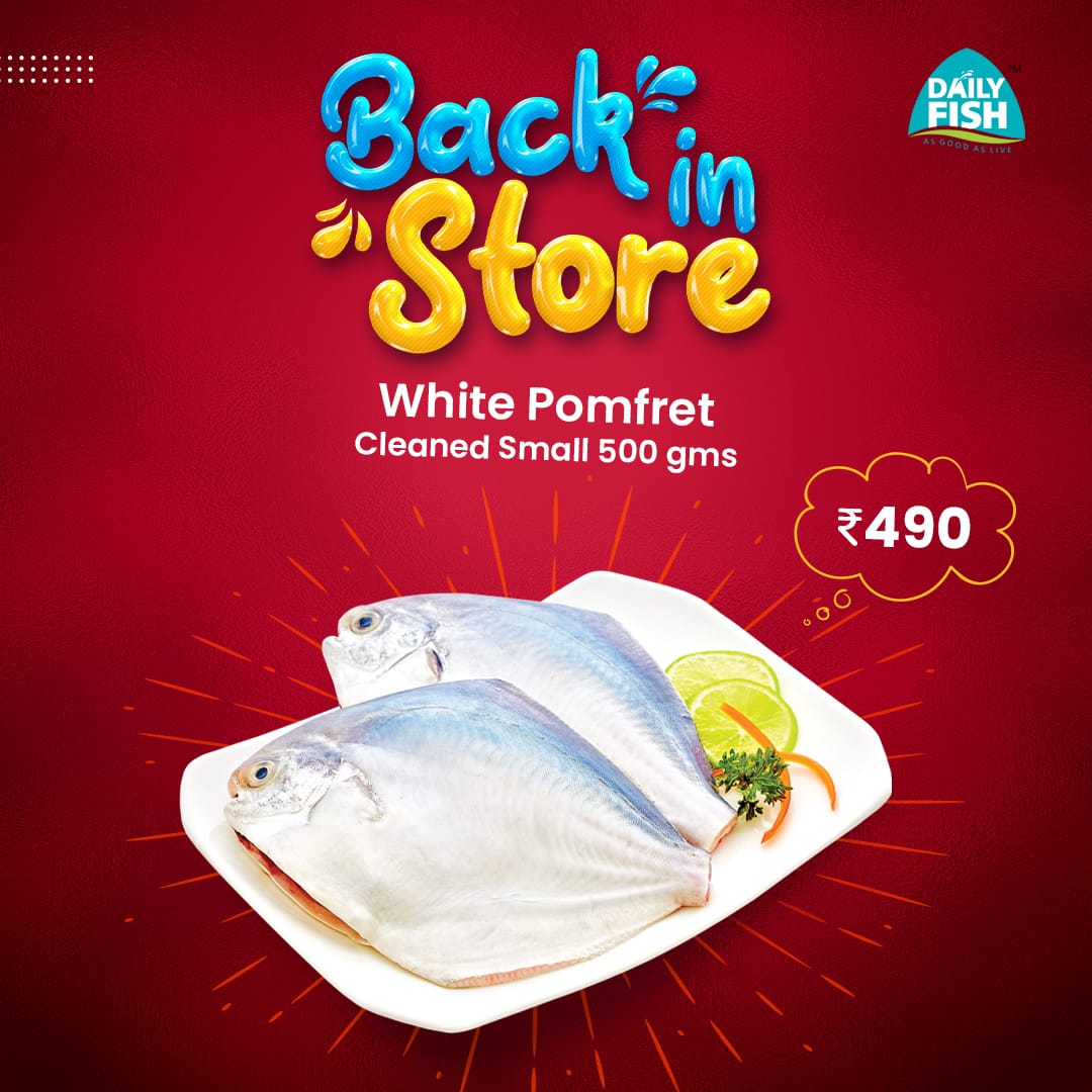 DailyFish India tweet media