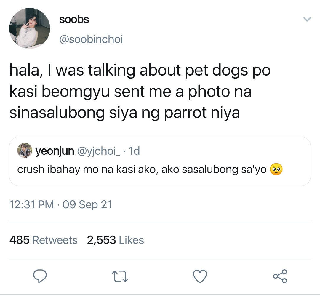 gyuinara's tweet photo. yeonbin one tweet filo au: https://t.co/7fMt5xk4fZ