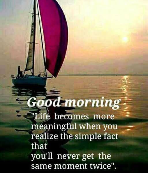 TThoria's tweet photo. #GoodMorningEveryone #HappyThursday #todayisgift👍🎊 #enjoyeverymovement #youareprecious #makegoodmemories #haveablessedday🧿🙌 https://t.co/8og2gC3sPE