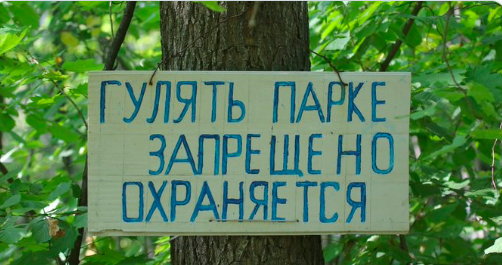 ulpressa's tweet photo. “Ограничение доступа – самоуправство”. Насколько законен пропускной режим в ульяновский дендропарк? https://t.co/LJ3bXDnUHF https://t.co/dcVF2MBxiG