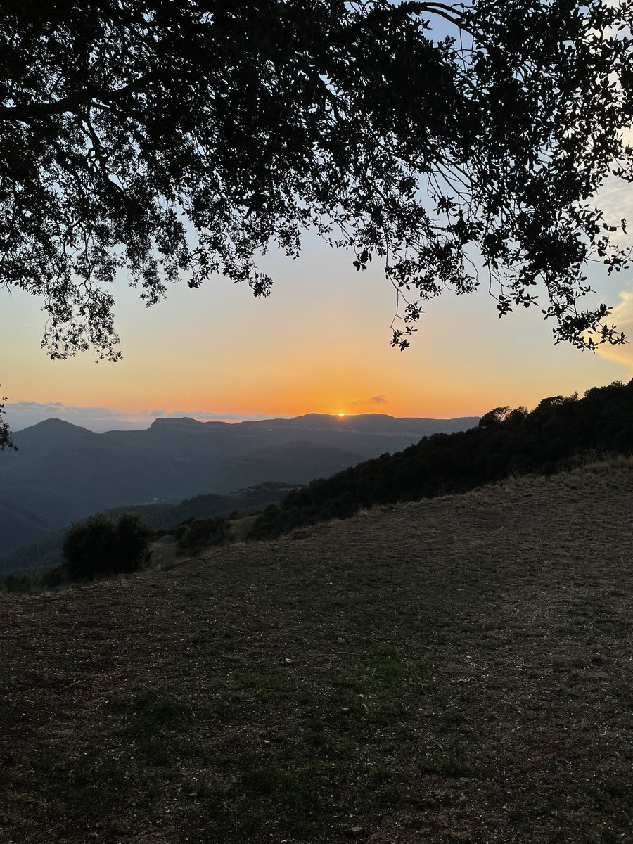 Alfons Nonell-Canals 🎗 tweet media