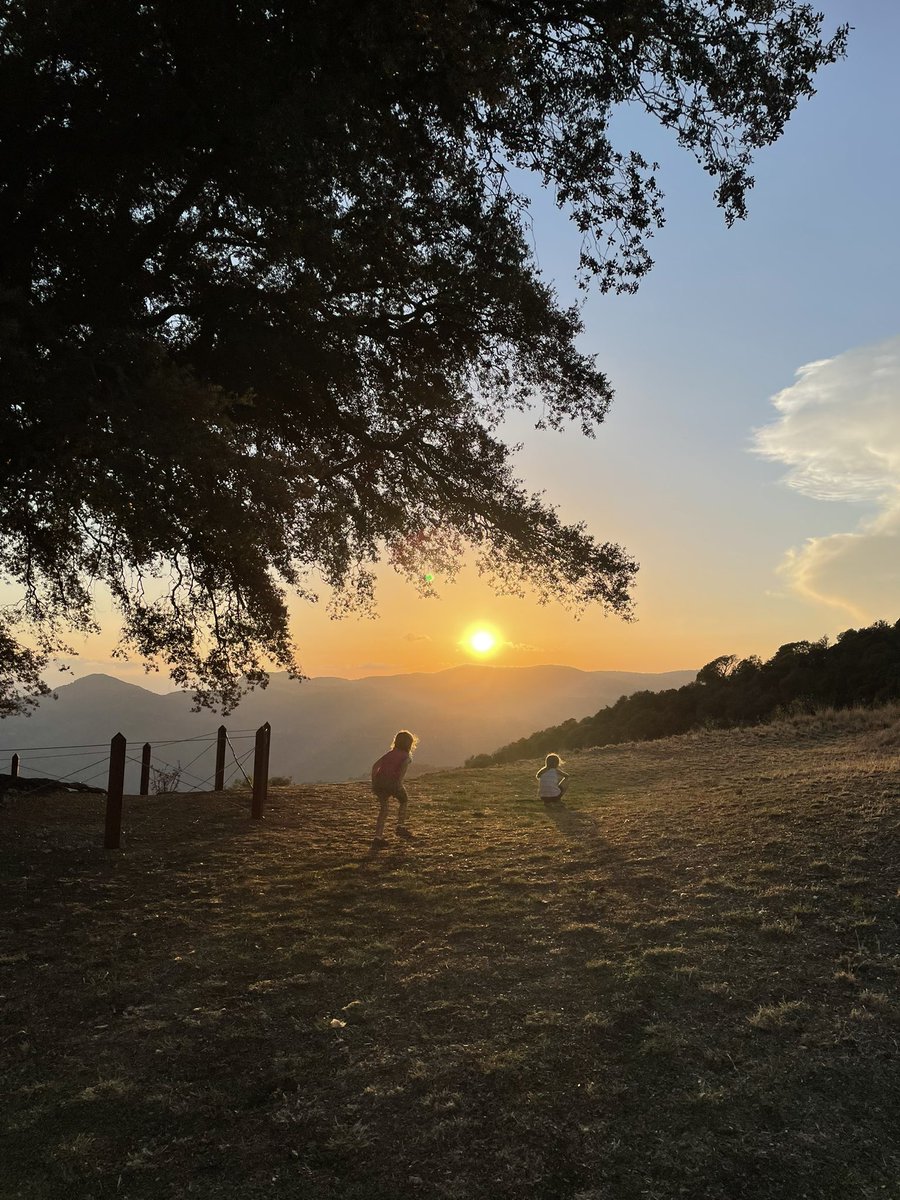 Alfons Nonell-Canals 🎗 tweet media