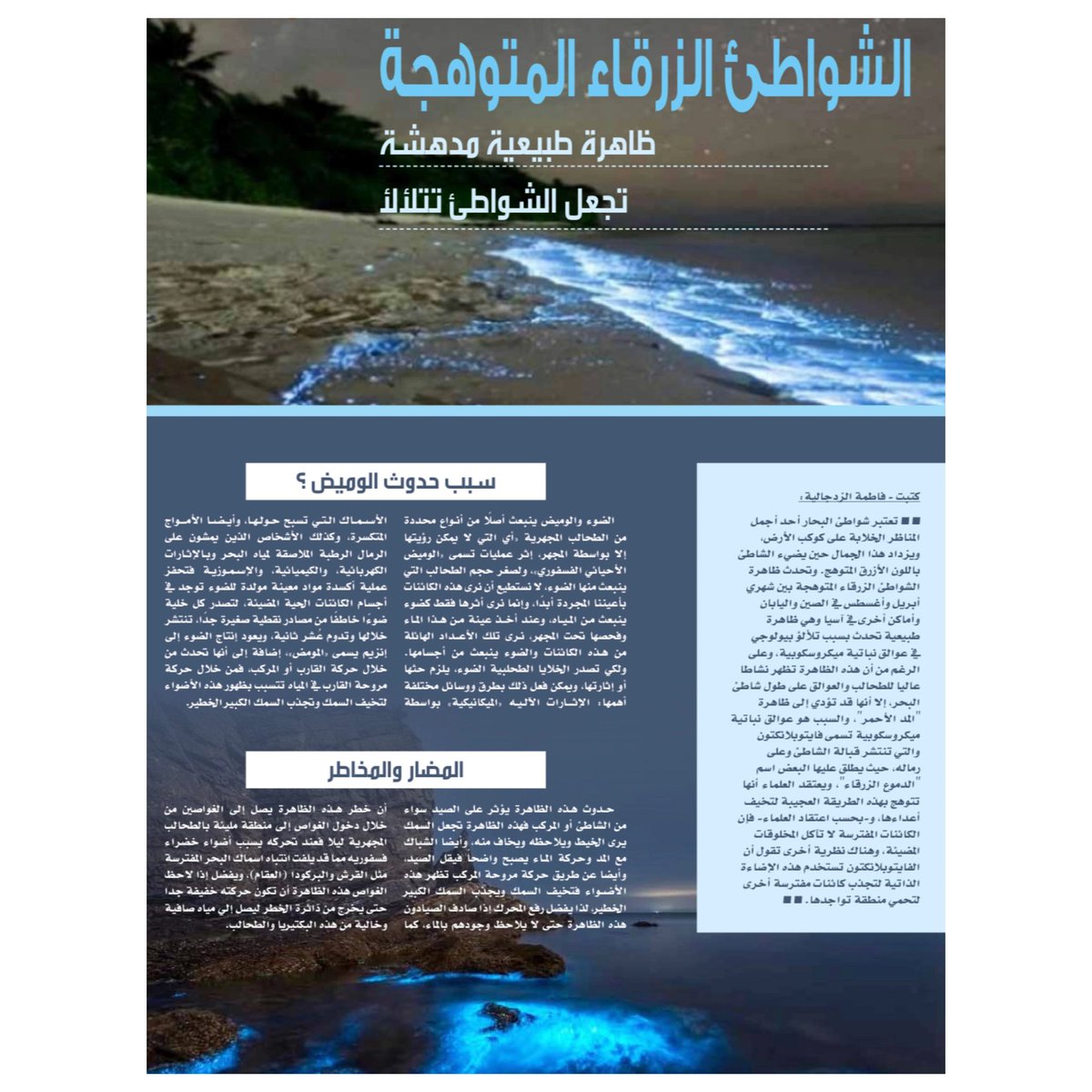 نشرة الوشق_ البيئية العدد ٦٩