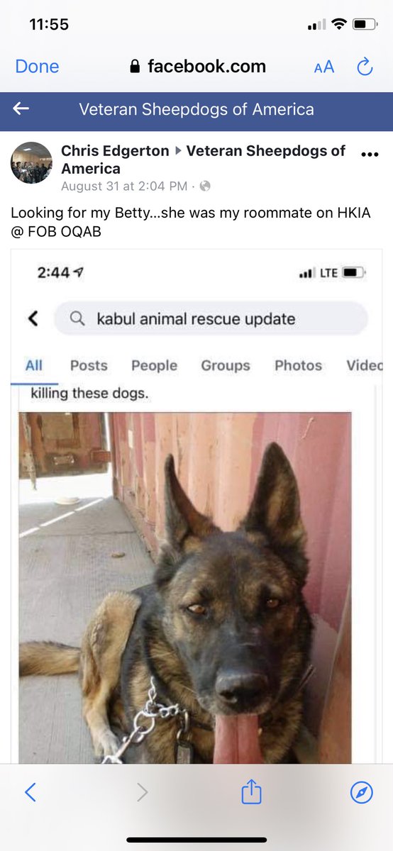 CindyShep 🇺🇸🇮🇱#JusticeForMalkiRoth tweet media