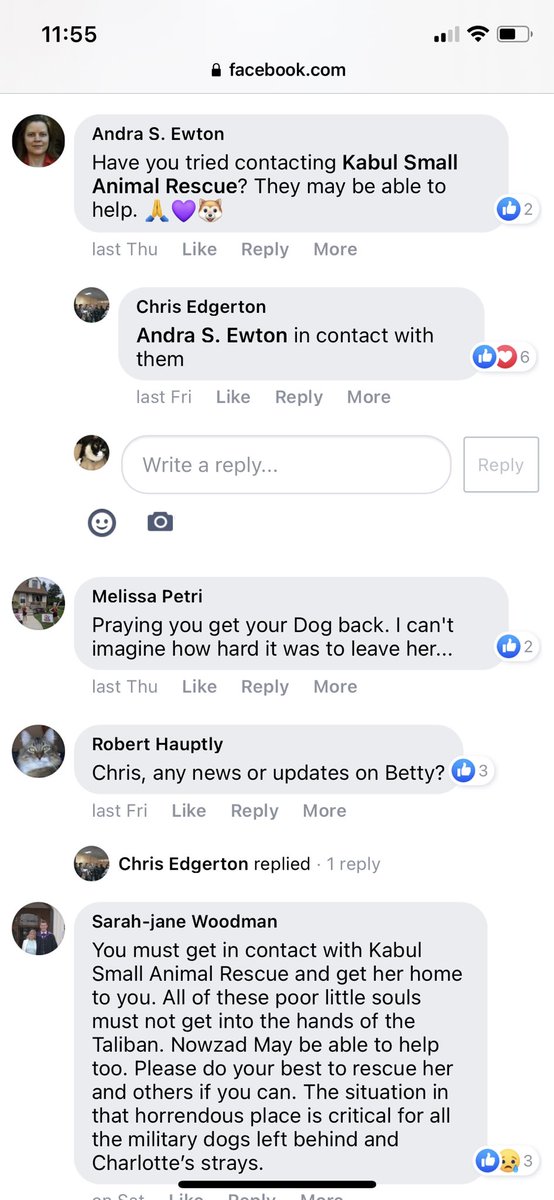 CindyShep 🇺🇸🇮🇱#JusticeForMalkiRoth tweet media