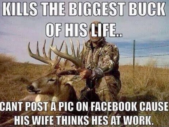 PublicWhitetail's tweet photo. https://t.co/j00FbERmsd
