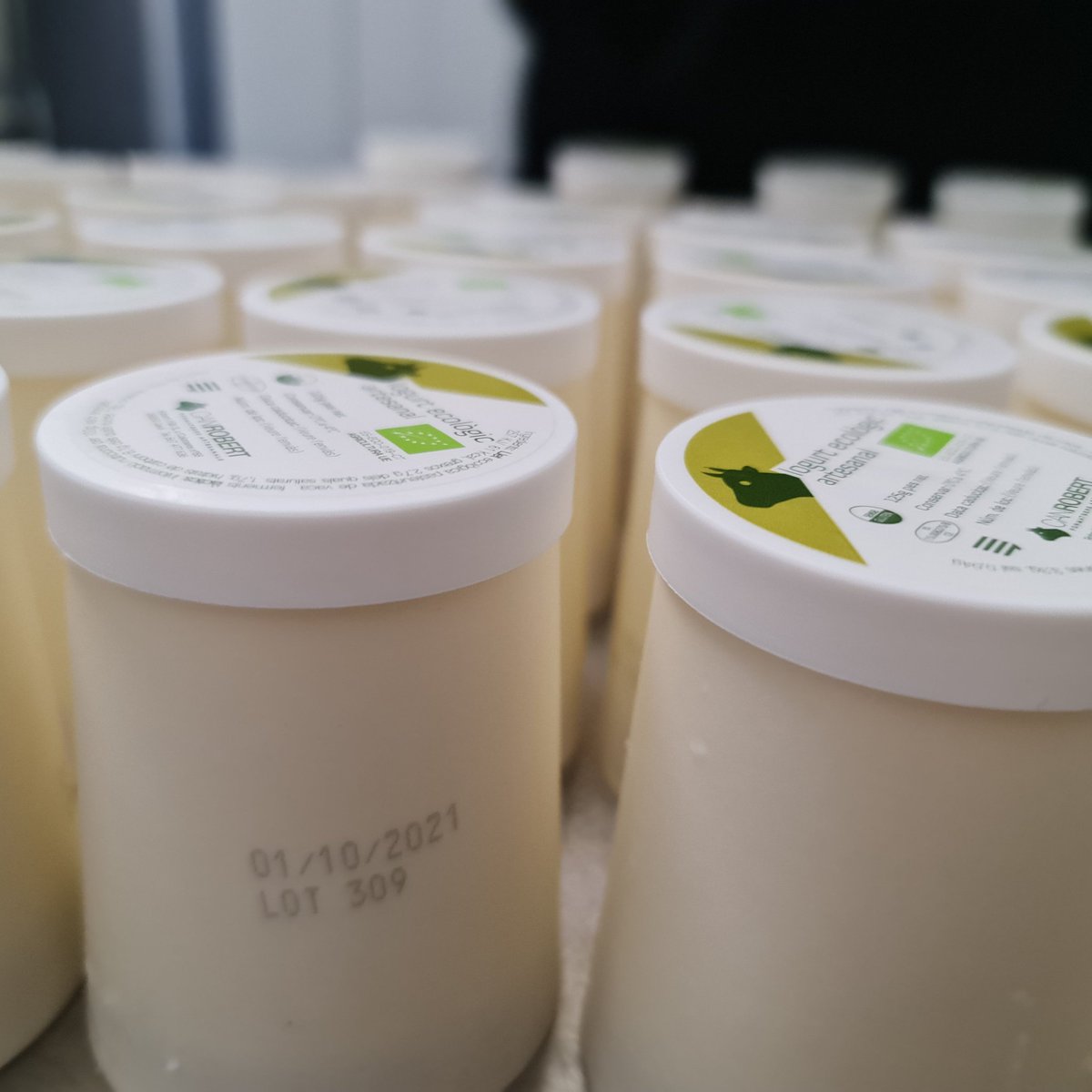 canrobertcat's tweet image. Bon dia família! Recordeu que demà repartim 🚚🚚🚚🚚 a Tarragona, Garraf, Penedès, Baix Llobregat i Barcelona ciutat! Som-hi! 🚚🚚🚚🧀🍶🐄🌍 @productorscat @BombaBomba2020 @ElGourmetCat #km0 #llet #pasturaenllibertat #iogurteco #xocolataecològica #formatgeartesà