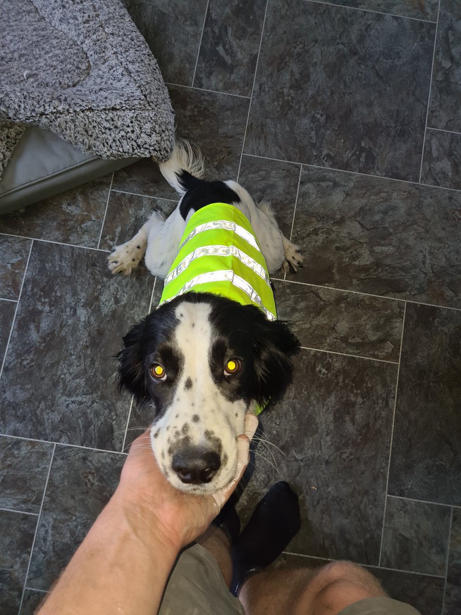Ralph ready for his first day on site 🤣