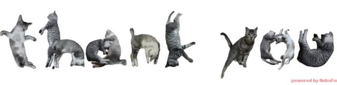 猫フォント、完全にえの素 