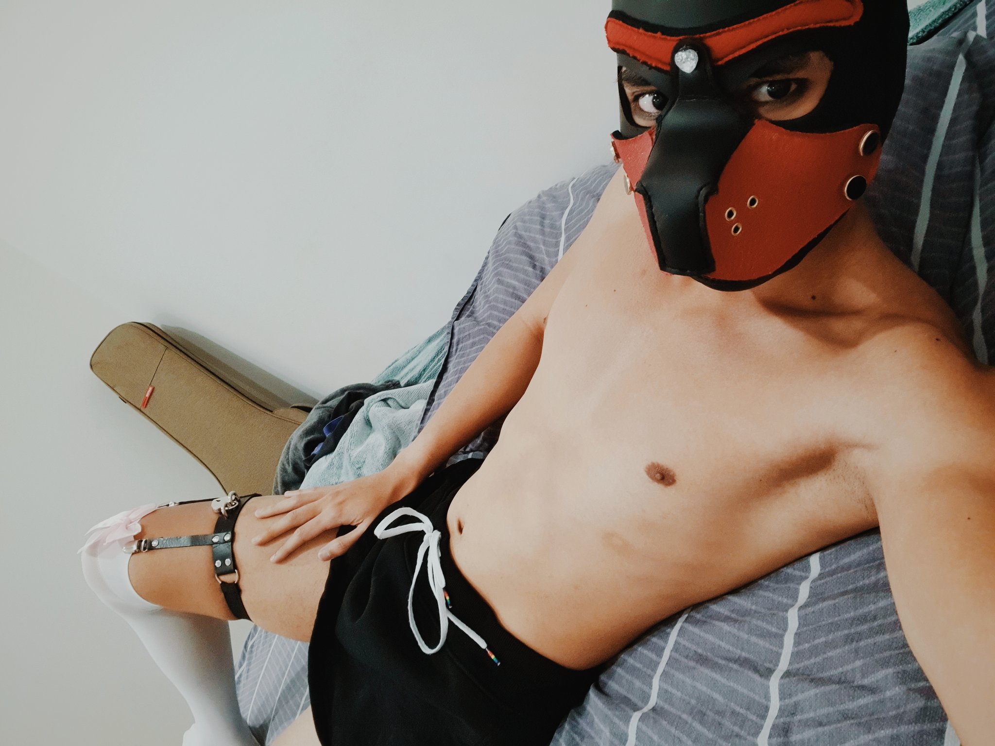 This puppy haz new leg garters and socks. ???

#bdsm #kink #fetish #pupplay #puppyplay #petplay #humanpup
