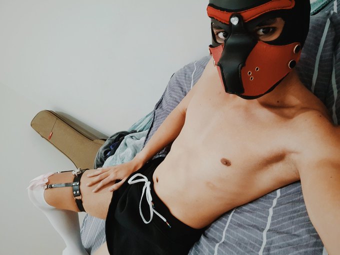 This puppy haz new leg garters and socks. ???

#bdsm #kink #fetish #pupplay #puppyplay #petplay #humanpup