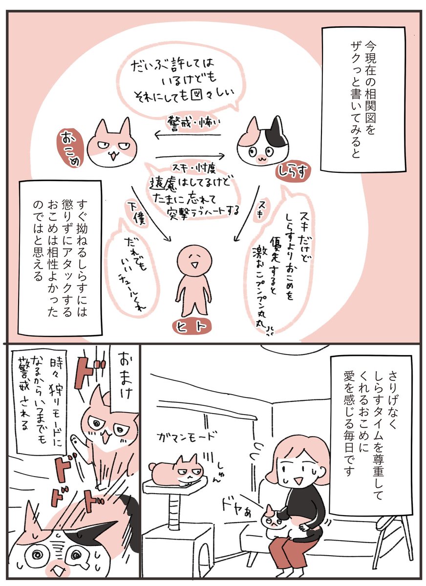 ねこ達の複雑な力関係🥺 