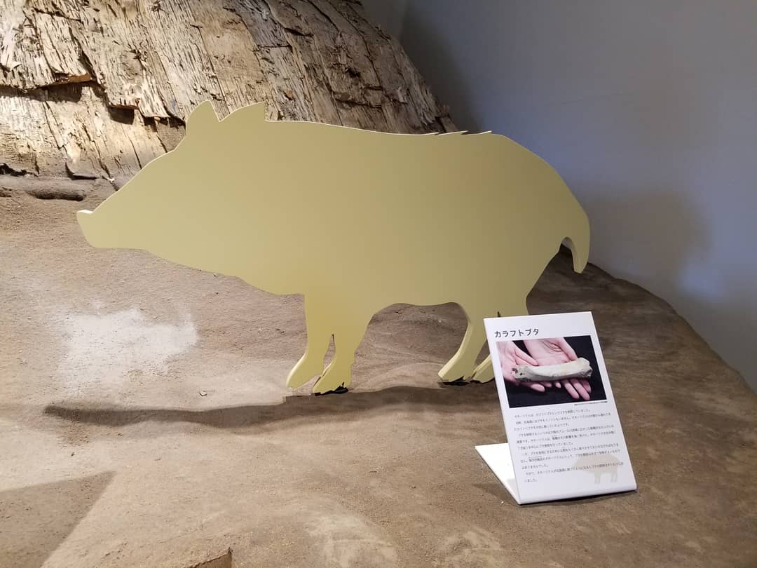 オホーツクミュージアムえさし Okhotskmuseum Twitter