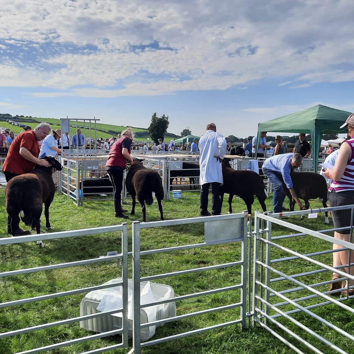 Second day of the <a href="/WcaShow/">Westmorland Show</a> Liz &amp; James will be there to help again today if you want to pop over for a chat..... &amp; to wish <a href="/liz_speller/">liz speller</a> a very happy birthday too!!! 🎂 🥳 #HappyBirthdayLiz #AgriShow