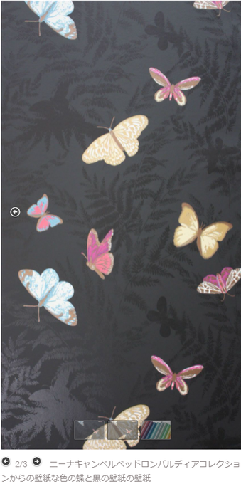 ジェジュンigの蝶々 ニーナキャンベル壁紙 Jaejoongに溺れて