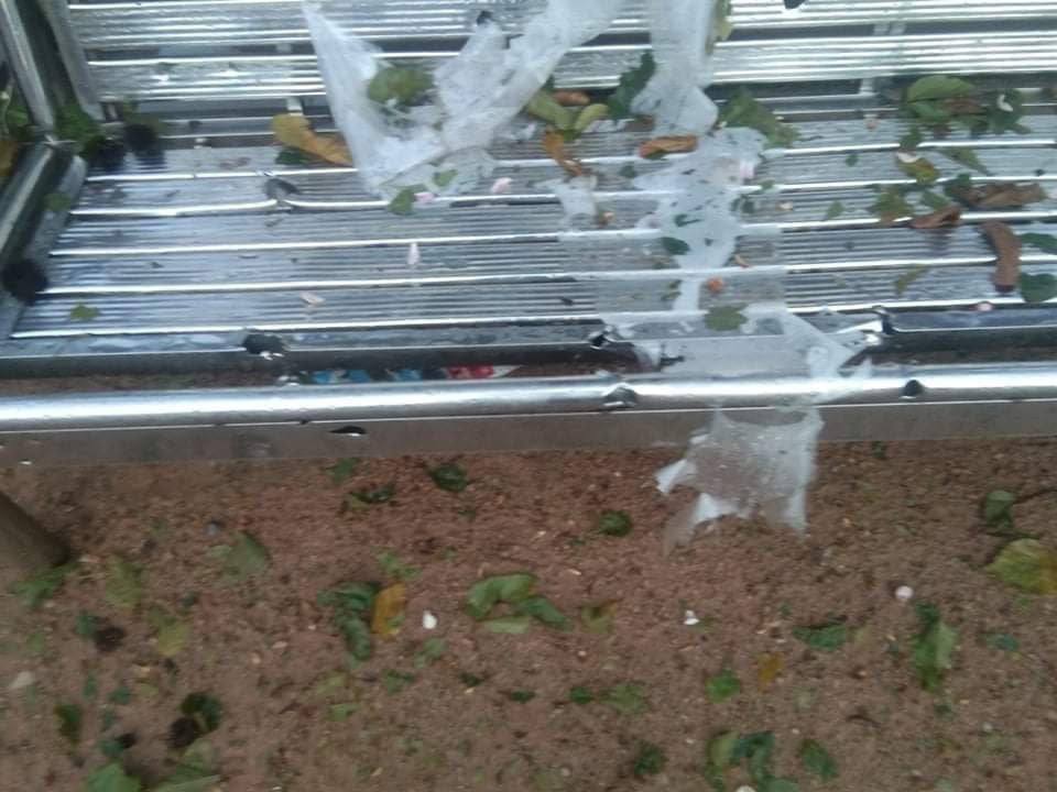 Crystal40212597's tweet photo. SAC troops recklessly fired heavy artillery shells along NgweTaung road, Demoso Tsp last night even though there’s no clash with PDF. Many civilians’ houses &amp; shops are destroyed. #DefensiveWarForDemocracy #Sep9Coup  #WhatsHappeningInMyanmar https://t.co/mFx9ASqoSl