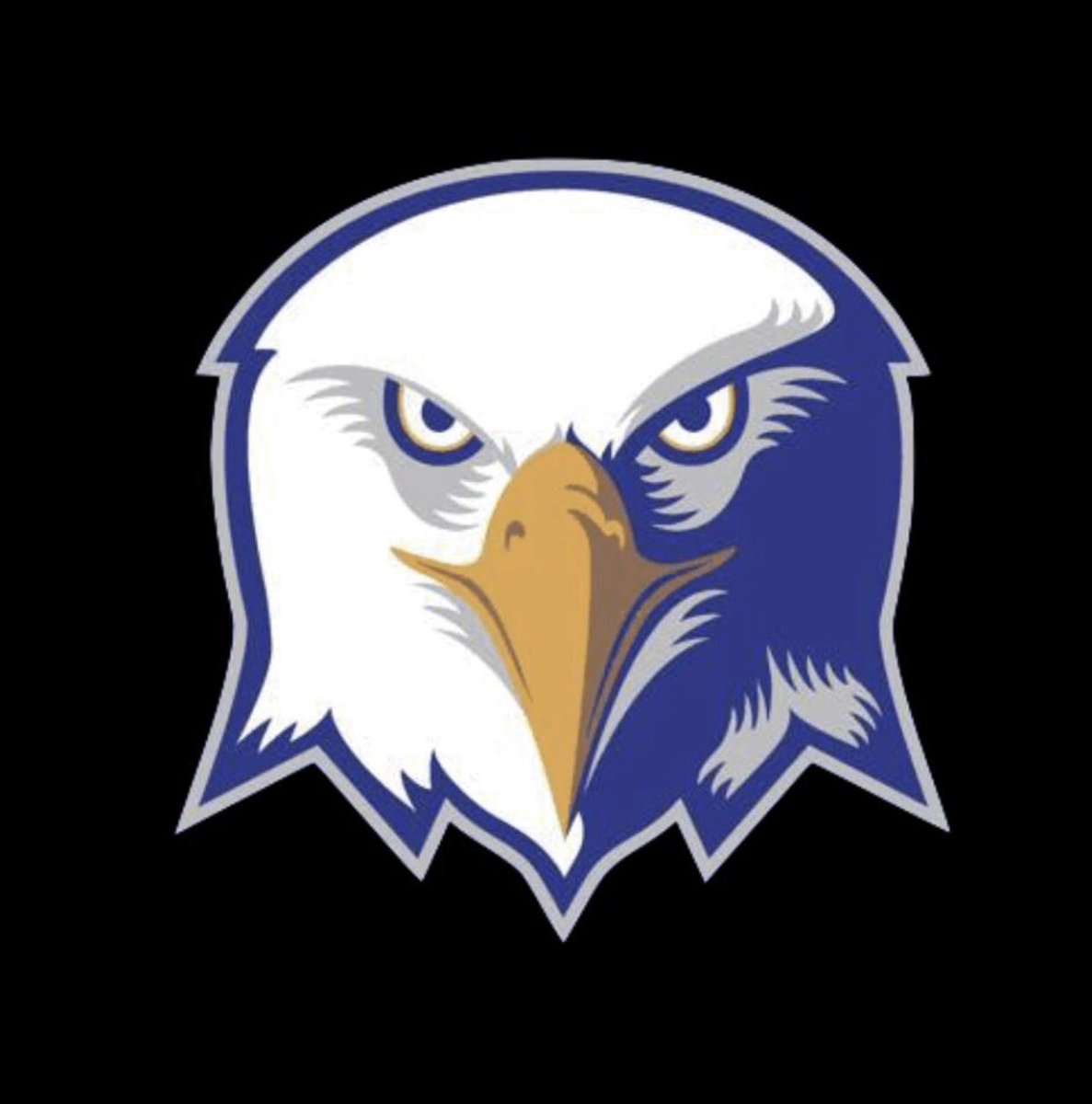 Graves Co Softball tweet media