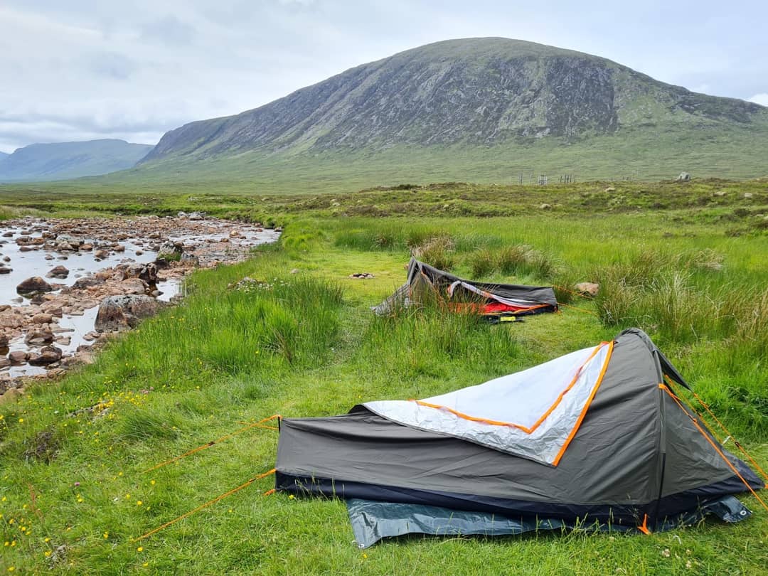 Kate Sheffer tweet media