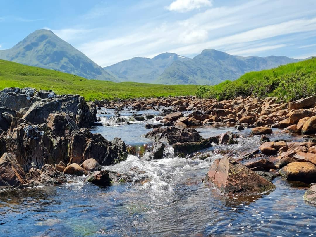 Kate Sheffer tweet media