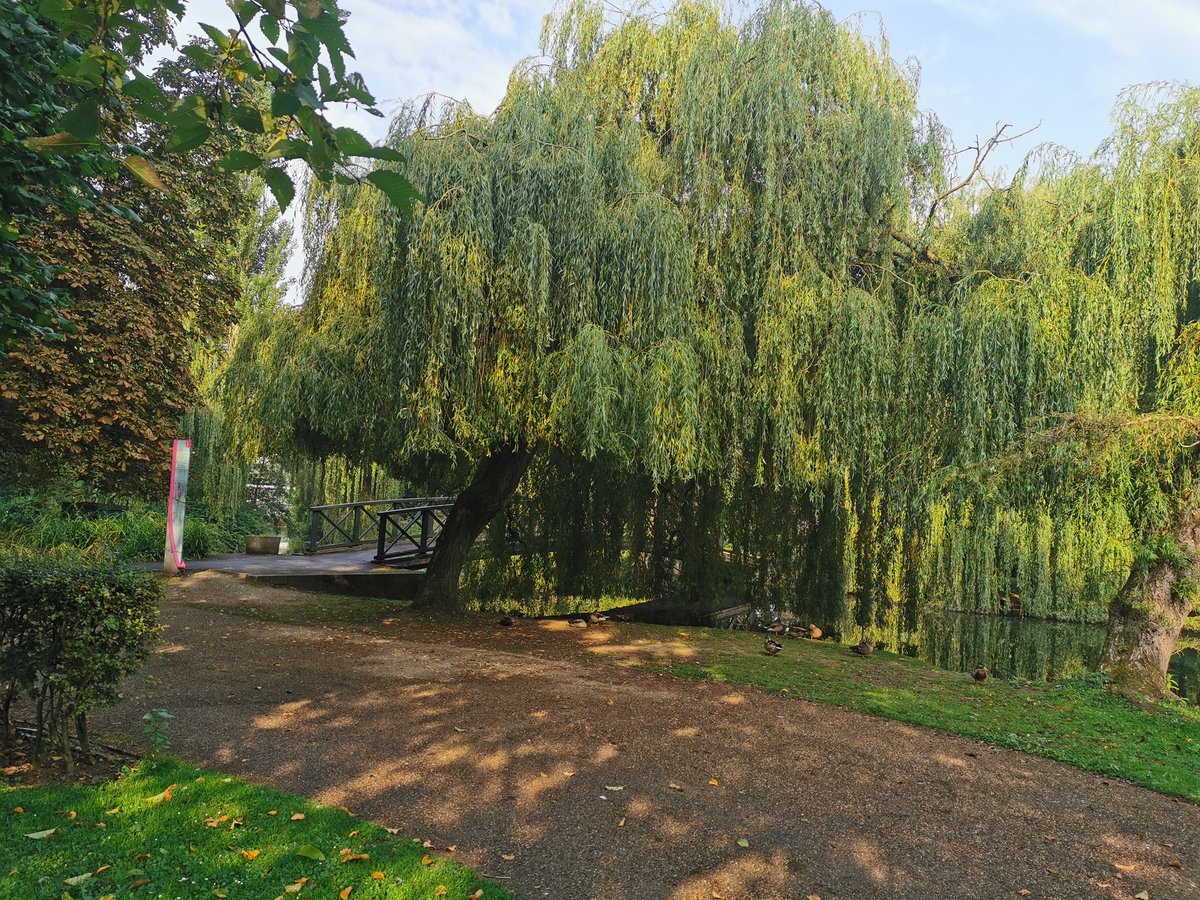 DrChrisHackney's tweet image. Was supposed to be 19 miles today, got to ~11 and the legs stopped going round, so hobbled back home. Better luck next time! Some nice views on the way though #yorkshiremarathon #onemonthleft