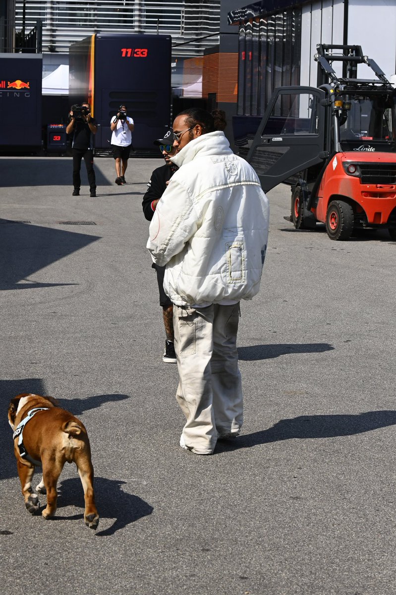 MARK SUTTON tweet media