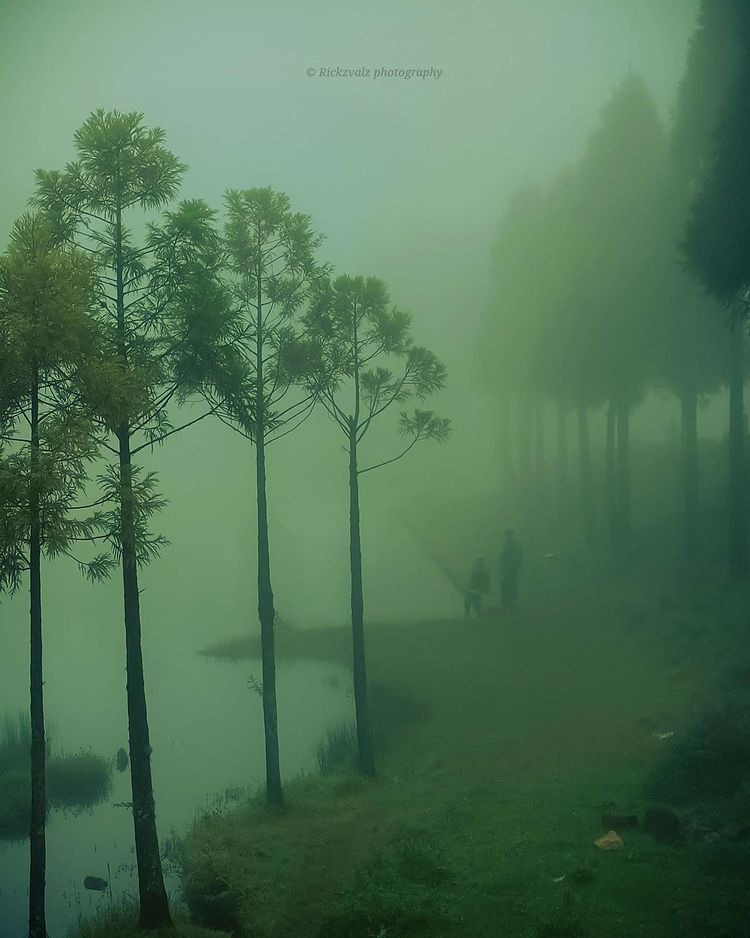 Captured By: : In Instagram: @click_mania__ 
(Link: instagram.com/click_mania__/)
Location: Laitlyngkot
#justshillong #repost