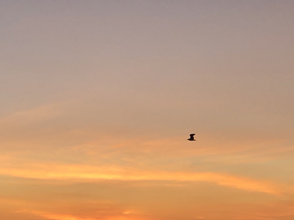 GetPackinPEI's tweet photo. From the rising of the sun… https://t.co/r3JO9HHohY