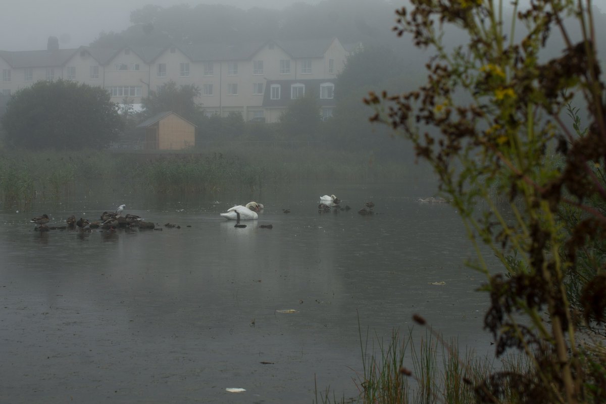 LiamLynch5's tweet photo. #Arklow Bay #Hotel covered in #Mist at the #Duck #Pond.
#Photography #Irelad #River #Water #Landscape #Weather #Buildings #Town #City #Outdoor https://t.co/pdf0WOPOF7