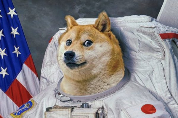 Rezanobitex1990's tweet photo. #dogecoin #ElonMusk https://t.co/XqSDMye4cu