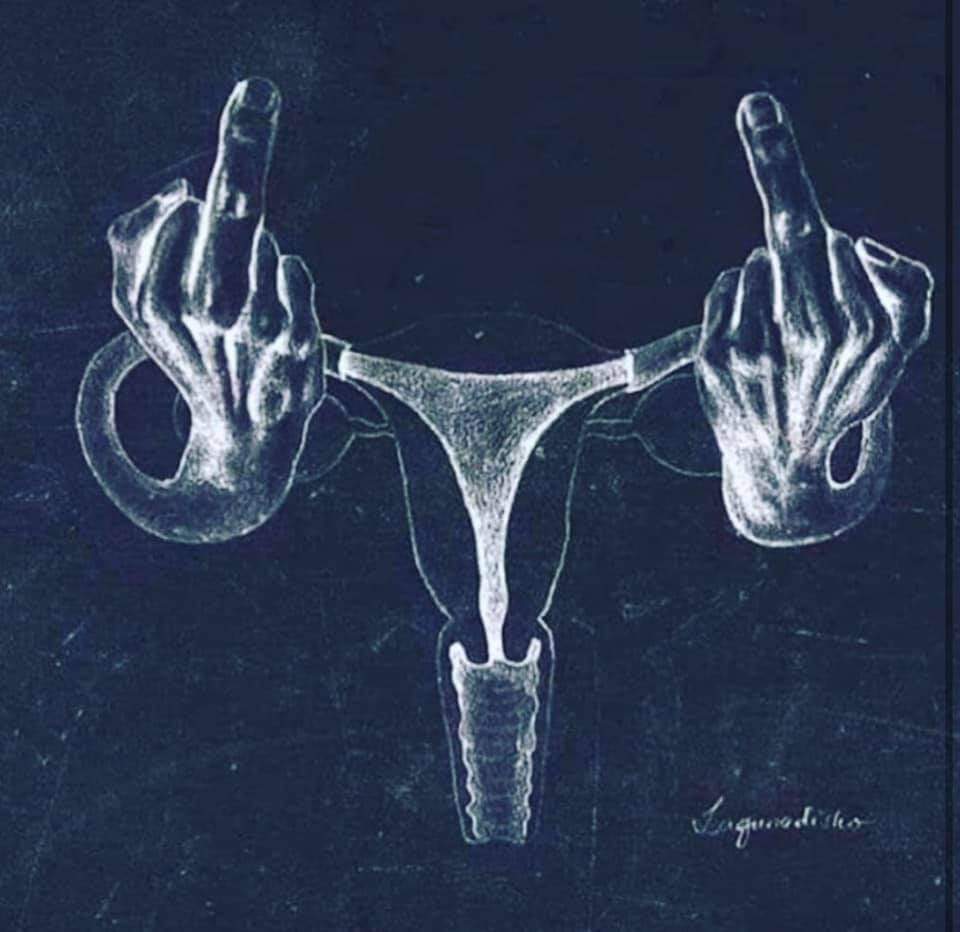 Endo_Jenn's tweet photo. This speaks for itself! 

#mybodymychoice #MyBodyBelongsToMe #WomensRights #WomensRightsAreHumanRights #endometriosis #uterus #reproductivehealth #WomensHealth https://t.co/UXDPNPae3w
