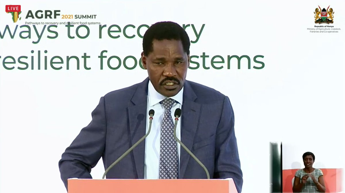 AGRA - Sustainably Growing Africa’s Food Systems. (@agra_africa) on Twitter photo 'I want to thank H.E. President Uhuru Kenyatta for prioritizing #agriculture in #Kenya' - Hon <a href="/PeterMunya/">Hon. Peter G. Munya, EGH.</a>, Cabinet Secretary <a href="/kilimoKE/">Ministry of Agriculture & Livestock Development</a> giving his remarks at <a href="/TheAGRF/">AFS Forum</a>'s Presidential #Youth Town Hall #AGRF2021 'I want to thank H.E. President Uhuru Kenyatta for prioritizing #agriculture in #Kenya' - Hon <a href="/PeterMunya/">Hon. Peter G. Munya, EGH.</a>, Cabinet Secretary <a href="/kilimoKE/">Ministry of Agriculture & Livestock Development</a> giving his remarks at <a href="/TheAGRF/">AFS Forum</a>'s Presidential #Youth Town Hall #AGRF2021