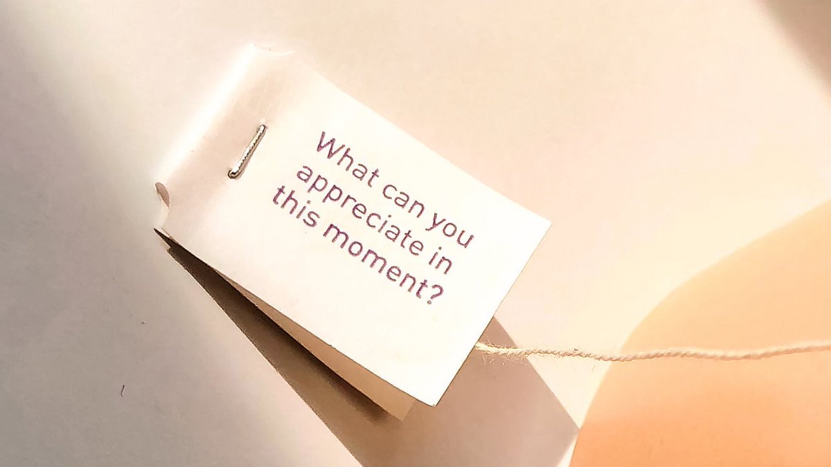 "What Can You Appreciate in This Moment?" 
✨ 
Today, we're contemplating the little things that are bringing us joy: That not-quite-summer-or-fall air, birds chirping outside our window, and a short work week 😉⠀
⠀
Tell us: What are you appreciating at this moment?
#yogitea ⠀