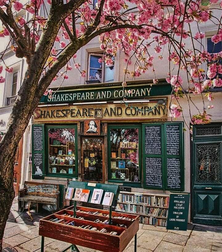 RogelioGalvn2's tweet image. Shakespeare and Company Bookstore. Paris, France.