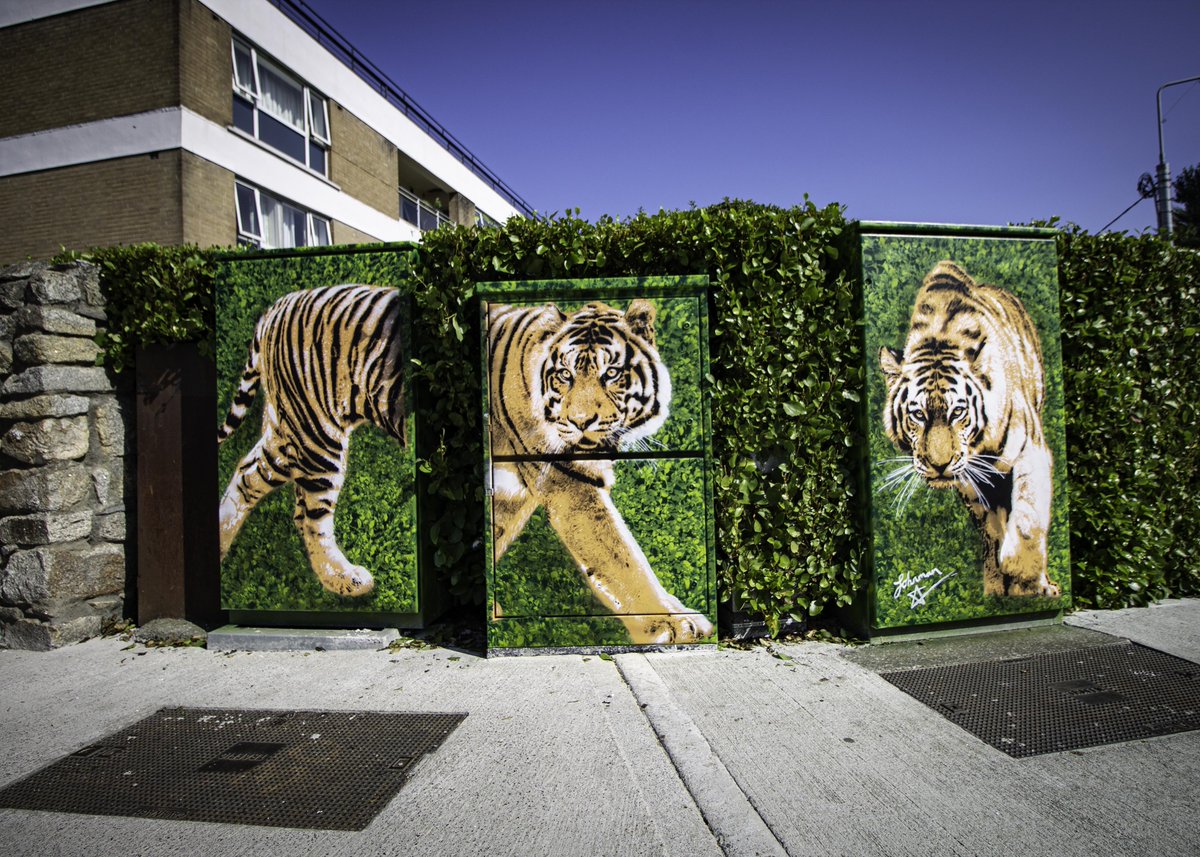 DublinCanvas - Colour in the County! tweet media