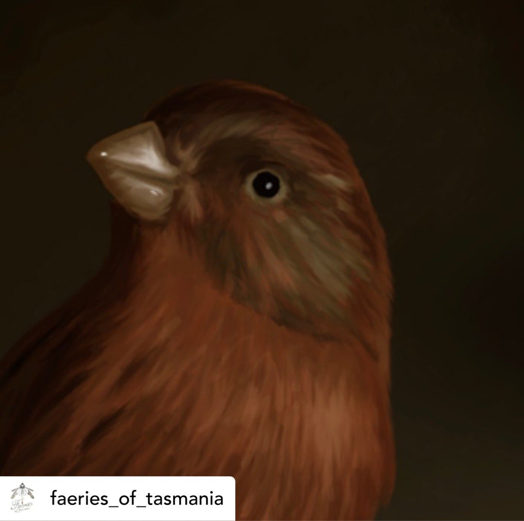 Tezzabold's tweet photo. Another snippet from the Faery book. #books https://t.co/Xc45YdXzYr