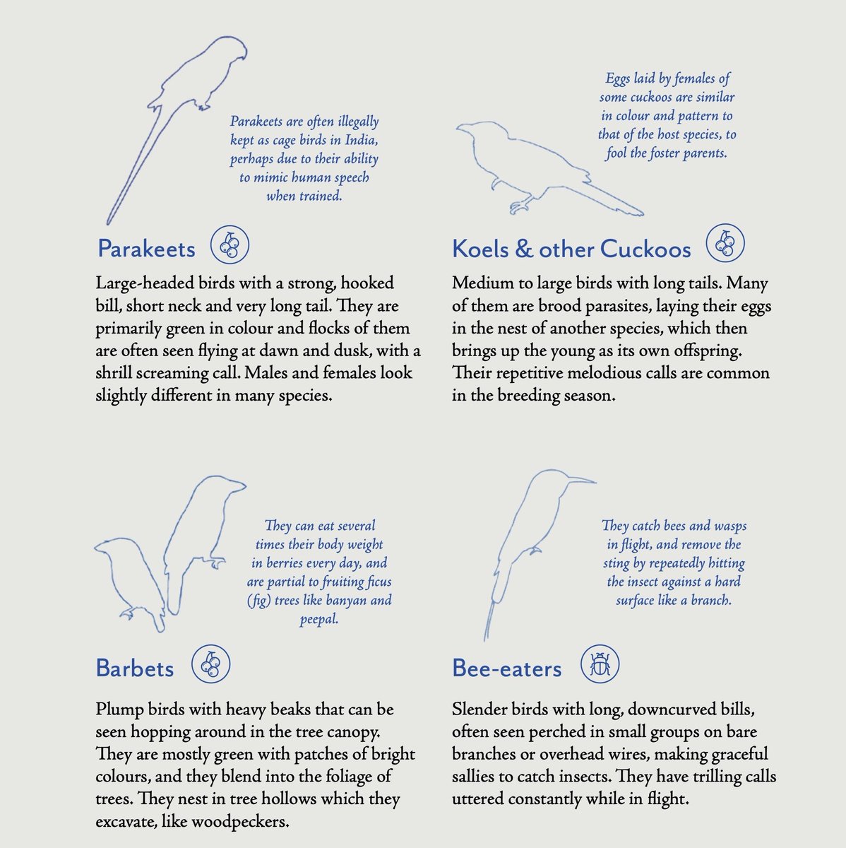 earlybirdncf's tweet photo. Learning about birds with your students can be an immensely rewarding &amp; enjoyable. The 1st chapter of the #handbookforbirdeducators talks about basics of birds and birdwatching as a hobby. Get your copy at https://t.co/uR2hXefigm

 #natureeducation #natureteacher https://t.co/eEEOoQZFEU
