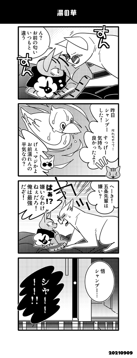 猫五悠③ 