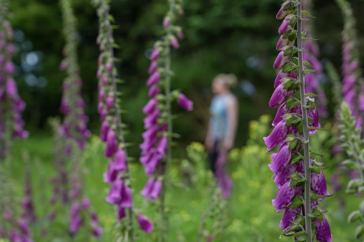 Grace O'Rourke tweet media