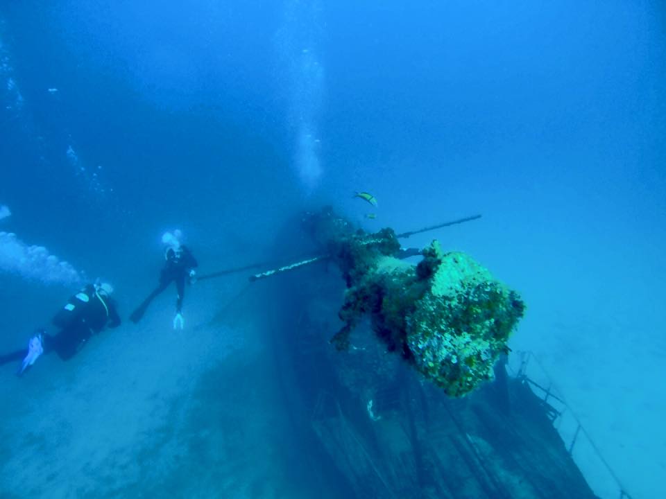 aadventures_ne's tweet photo. How amazing! Throwback to our Scuba Diving Trip to the Canary Islands! 🙌

#adventure #scubadiving #canaryislands https://t.co/Fat1dlxEmv