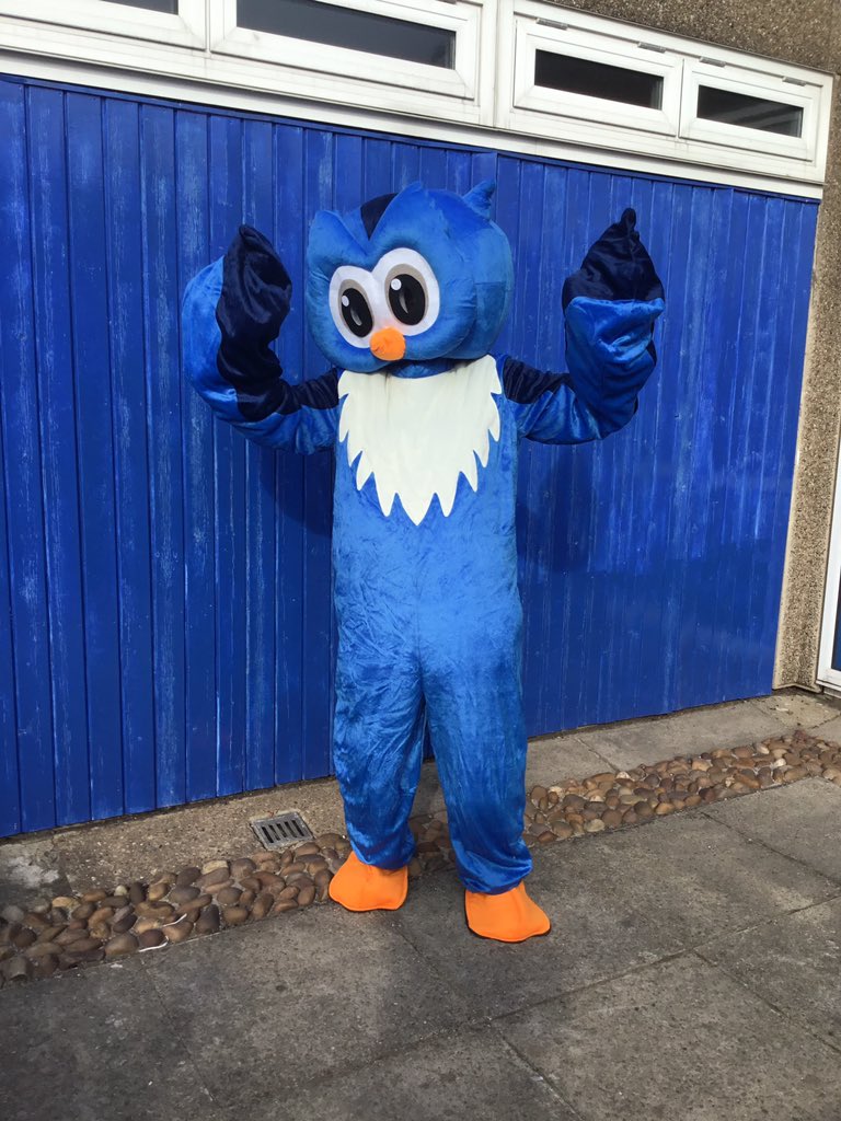 ChaucerJun's tweet photo. Wise Walter the Well-being Owl flew around school today. Watch out for more visits soon. We are very lucky to have him as our school mascot. He will be spreading the SMILERS message near and far.@embarkfed https://t.co/SakAxsOK4a