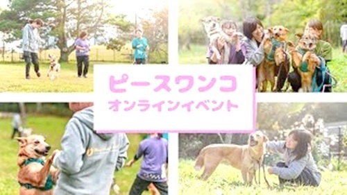 PeaceWankoJapan's tweet photo. 🍀お知らせ🍀
保護犬の命を一頭でも多く繋ぐため、RTとご参加お願いします🐶

✨9/12 譲渡会@あきる野
✨9/15,17 贈寄付WEEK特別オンラインセミナー
✨9/18
・特別オンラインイベント
・オンライン譲渡会@広島
✨9/19 お鼻見会@福山

👉詳細 https://t.co/CRusMjEWx0

#ピースワンコ　#保護犬 #譲渡会 https://t.co/68HxfDu8k6