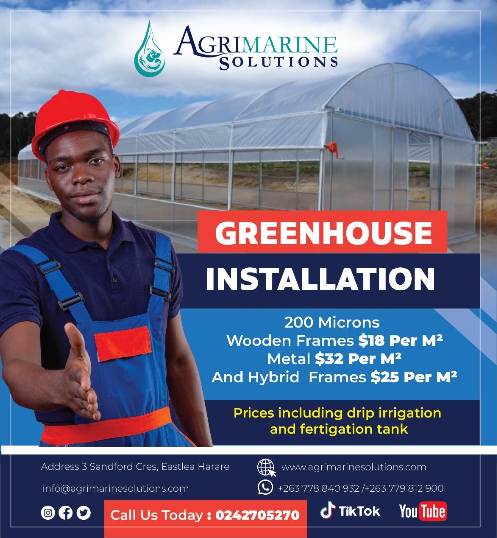 agrimarinesolut's tweet photo. Greenhouses In Aquaculture has allowed farmers to increase productivity
#fishfarming
#fishfarmingtraining
#aquaculture
#fingerlings
#fish
#greenhouselife
Get in touch with us on
0778840932
/0779812900
Both WhatsApp and Calls https://t.co/VO8TG3TFlk