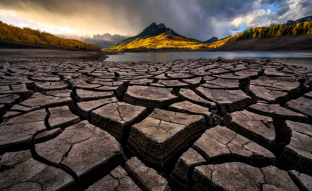 RAMMuseum's tweet image. Wildlife Photographer of the Year is coming to #Exeter!
99 winning images from the 56th competition on loan from @NHM_London will be exhibited at RAMM from the 25 Sept 2021 - 9 Jan 2022. 
Book your ticket: l8r.it/X3Ju

📸 When the Rain Came Rolling In - Zack Clothier