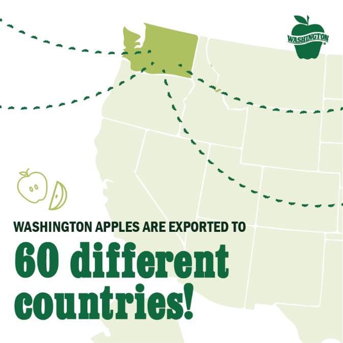 Here’s a Thursday fun fact about Washington Apples!

#WashingtonApplesKuchhKhaasHai #TheCrunchIndiaLoves #WashingtonApplesIndia #WashingtonApples #DidYouKnow #AppleFacts #FactsDaily #FactOfTheDay #NutritiousMeal #Apples #FruitApple #AntioxidantFruits #Healthy #SweetApple