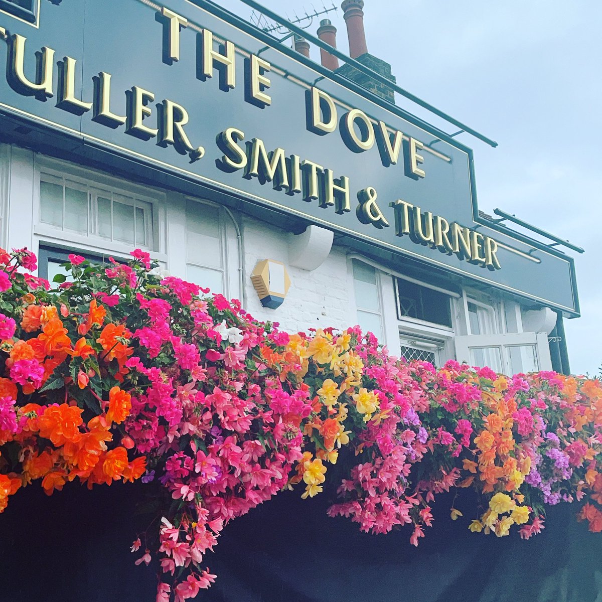 Not ready for the autumn with our flowers still in full bloom 🌸 #lovethedove #realflowers #hammersmith #riversidepub #thamespub #fullbloom