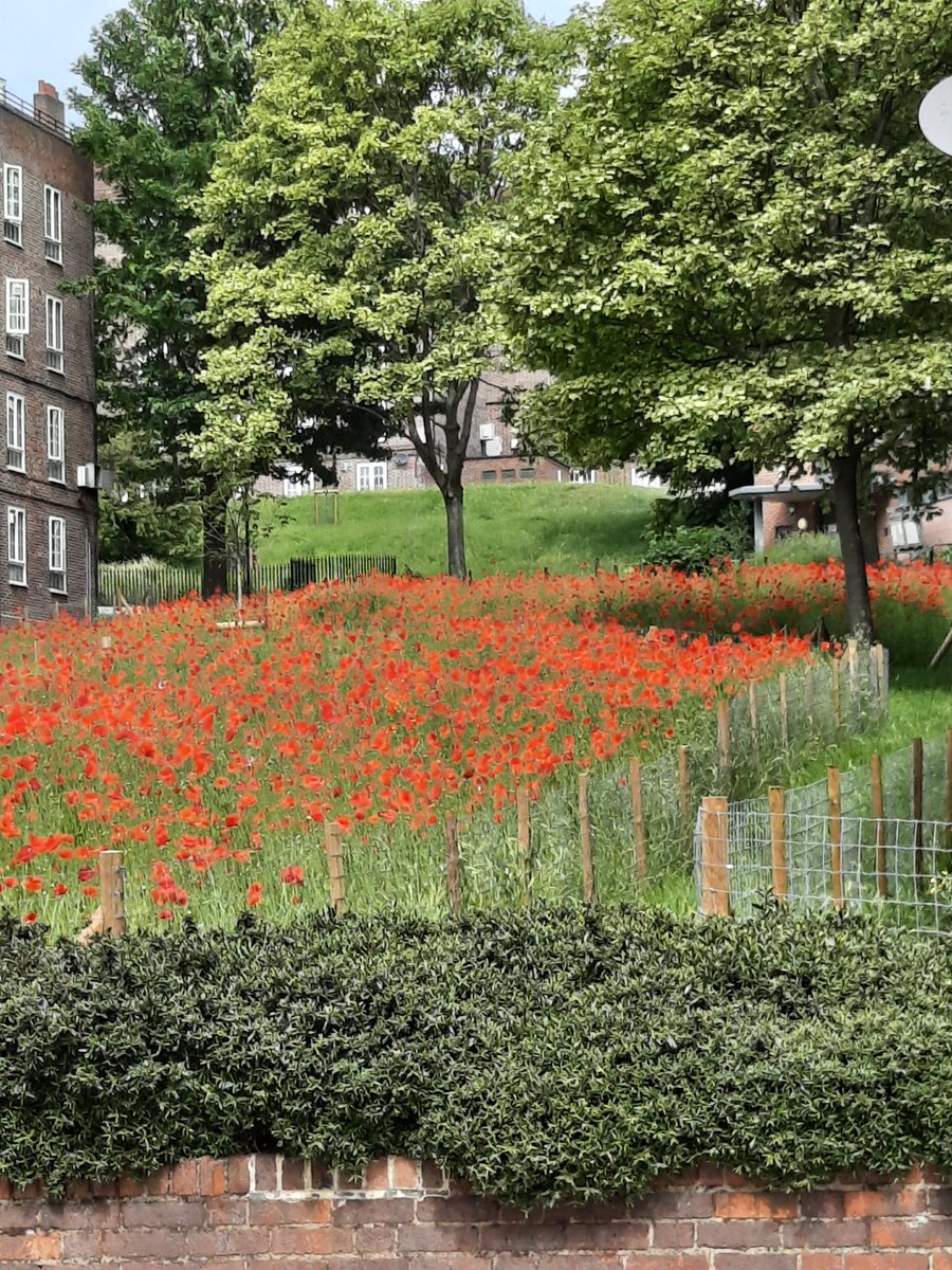<a href="/DulwichHistory/">Dulwich Local History</a> Yes attached, the air raid shelters are covered by the poppies.
