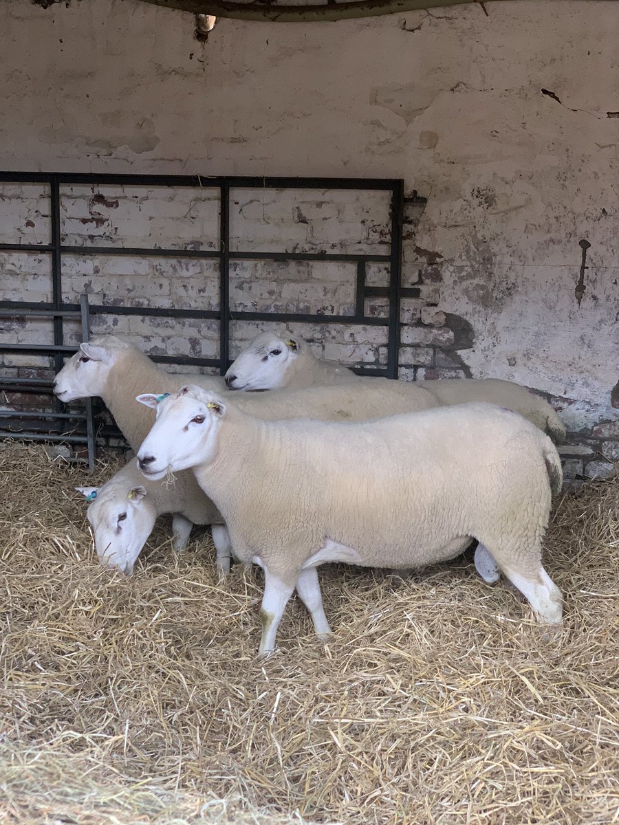 Jacob Anthony tweet media