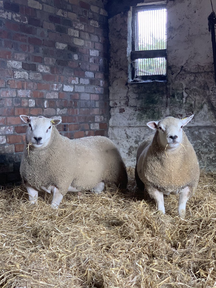 Jacob Anthony tweet media